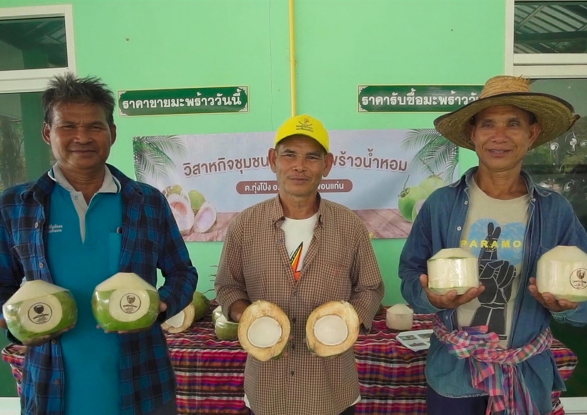 ซีพี แอ็กซ์ตร้า หนุนสินค้าเกษตรไทยครั้งแรกกับ “มะพร้าวน้ำหอมอินทรีย์” คว้าฉลาก CFP