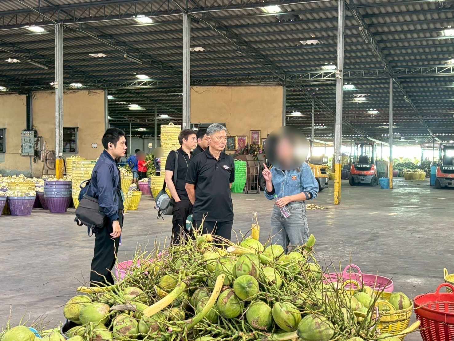 กขค. รุกตรวจสอบต่อเนื่อง-ขยายผลคลี่ปมมะพร้าวน้ำหอมทั้งระบบ ราคาต่ำ