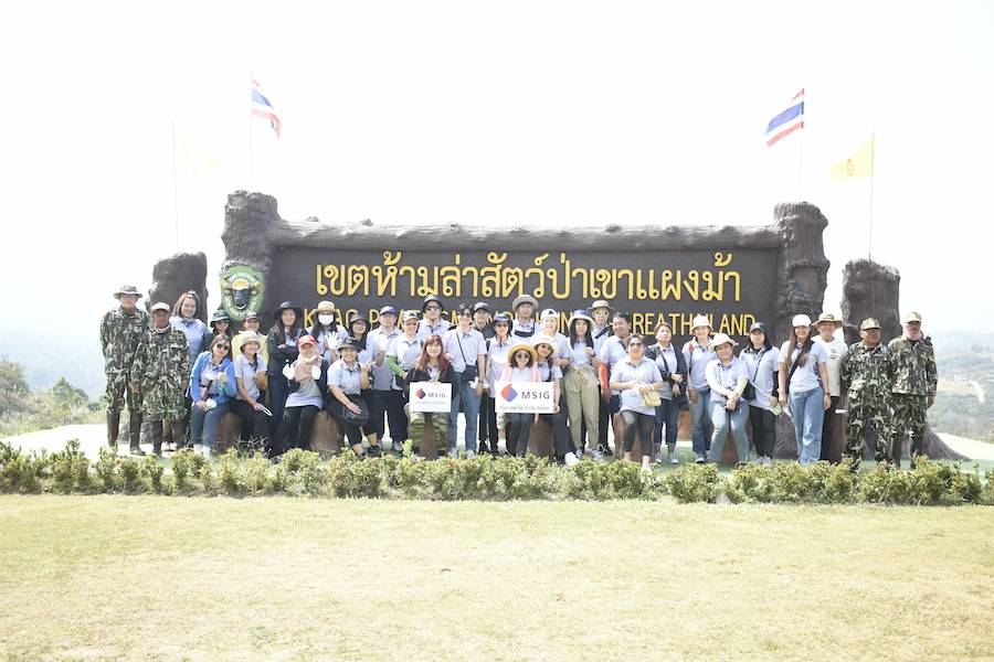 เอ็ม เอส ไอ จี ประกันภัย จับมือ ฟรีแลนด์ ส่งเสริมความหลากลายทางชีวภาพที่ดงพญาเย็น